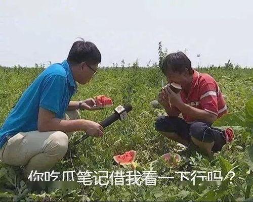 冷清一吃瓜,揭秘娱乐圈背后的秘密与真相