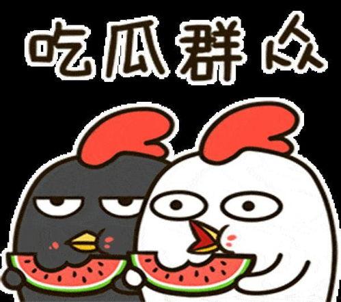 鹅吃瓜我吃饿知乎,揭秘知乎上的趣味生活现象