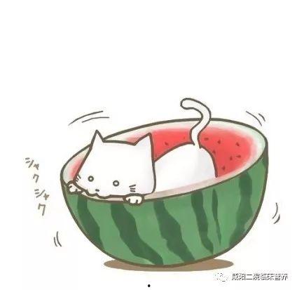 吃瓜系统动画古代,揭秘古代宫廷的娱乐生活
