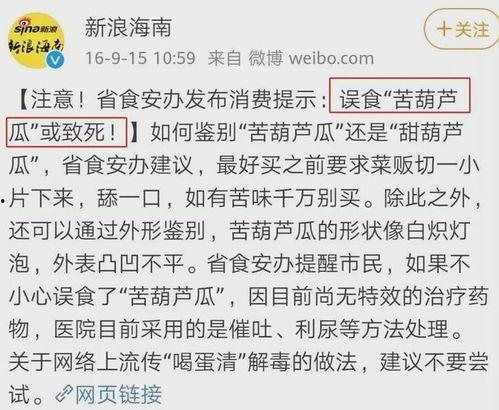 带你吃瓜语文翻译,带你领略“吃瓜群众”的趣味解读
