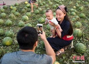吃瓜群众田女士,揭秘娱乐圈那些事儿