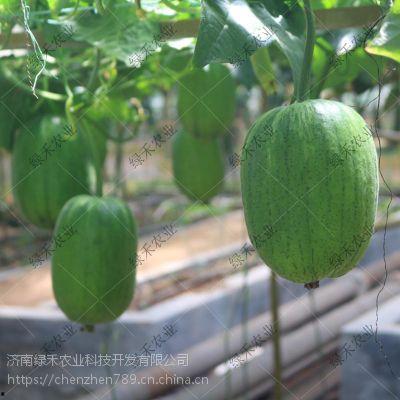 春秋吃瓜小说,宫廷权谋,吃瓜群众看热闹