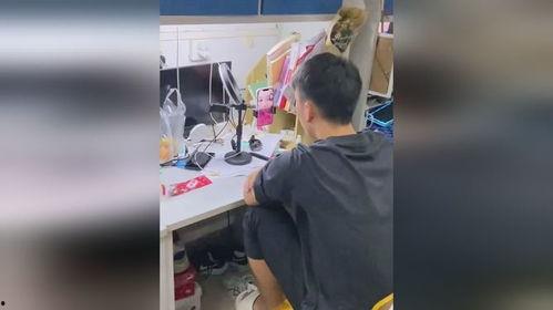吃瓜宿舍直播,揭秘大学生宿舍生活新潮流