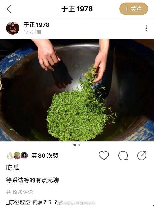 吃瓜搞笑配文,趣味盎然的搞笑配文大盘点