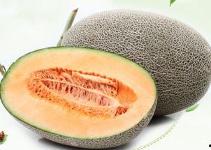 吃哈密瓜后背疼,揭秘吃瓜后背疼的真相