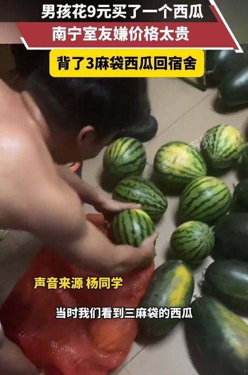 太九在线吃瓜,揭秘娱乐圈幕后风云