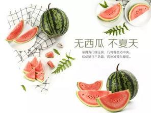 吃瓜潍坊市,探寻这座美食城市的独特魅力