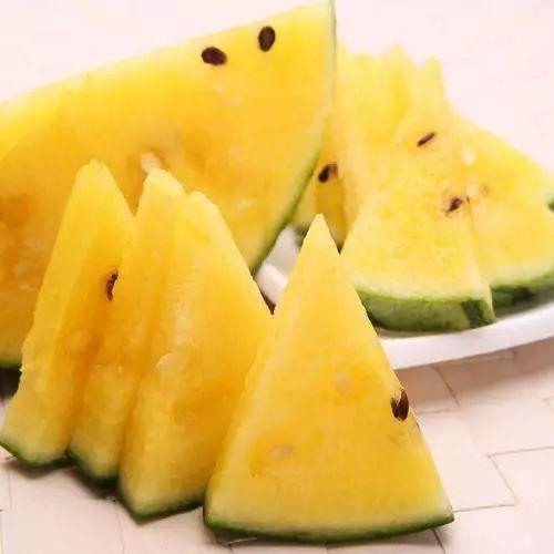 吃那个乳头瓜好吗