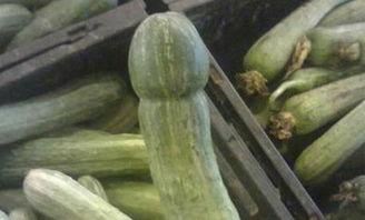 新娘瓜怎么吃,解锁美味新体验