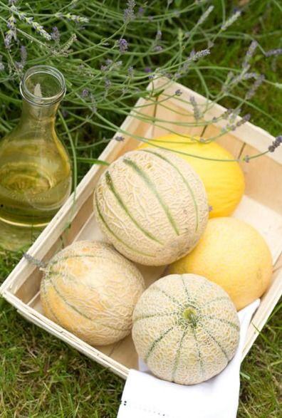 白旬瓜怎么吃,解锁美味新体验