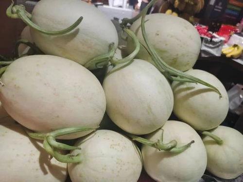 吃瓜大白2,揭秘娱乐圈背后的秘密与真相