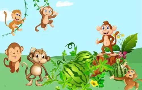 monkey 吃瓜,猴子的夏日清凉时光