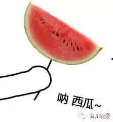 吃瓜群众 西瓜,西瓜背后的秘密与魅力